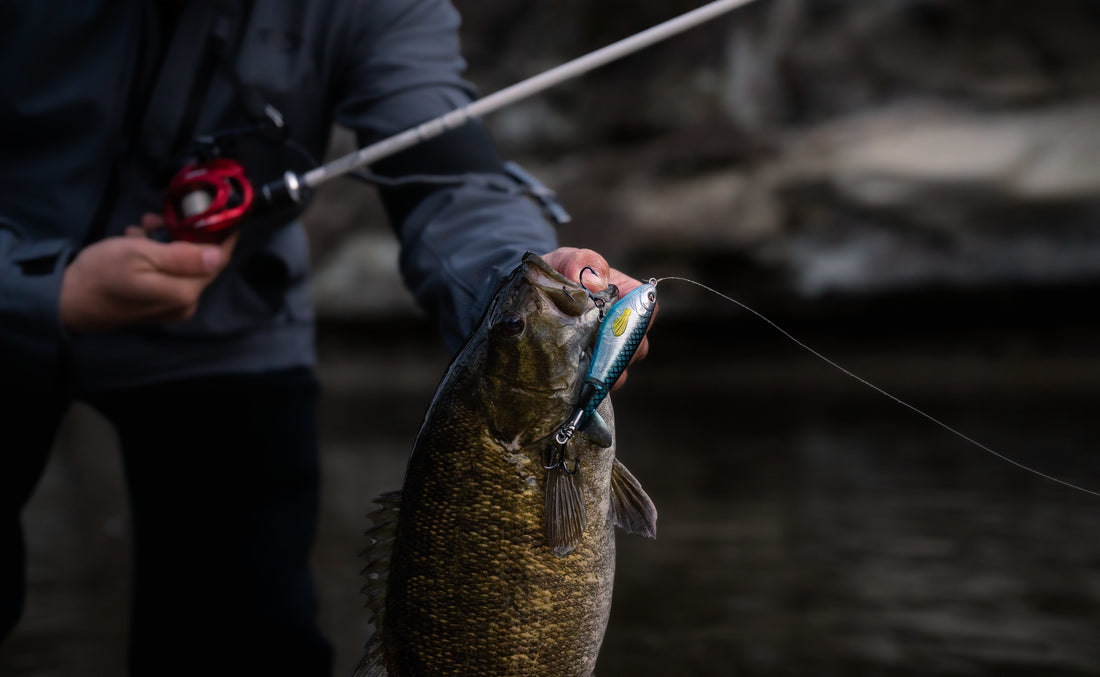 Briefly discussing the bait selection for bass fishing with lures