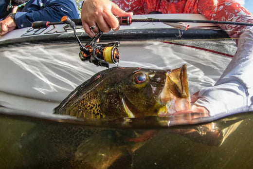 Power VS Finesse Fishing - Which One is Right For You?