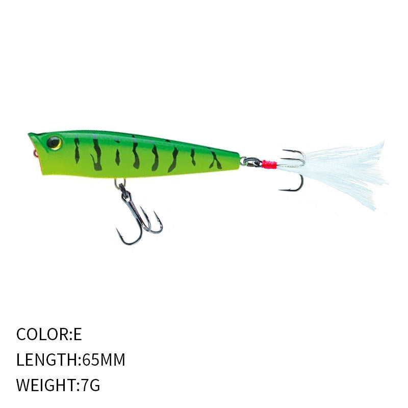 Topwater popper (3/8 oz - 2 9/16 inch)