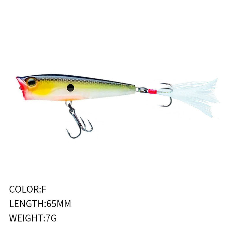 Topwater popper (3/8 oz - 2 9/16 inch)